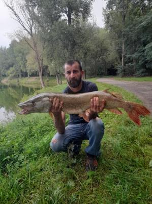 Brochet didier